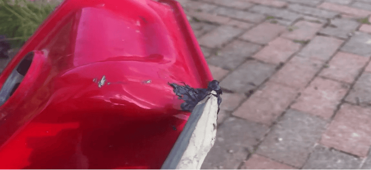 How to Fix a Gas Tank With JB Weld Ultimate Guide